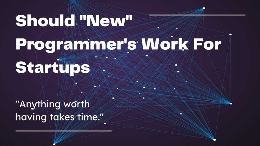 Should New Programmer's Work For Startups?
