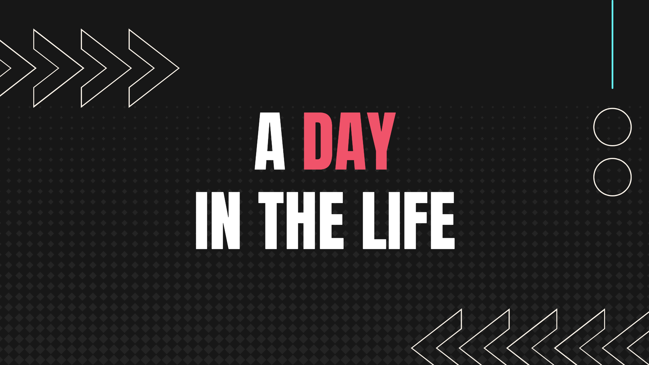 A day in the life of a full-stack web developer - ThatSoftwareDude.com
