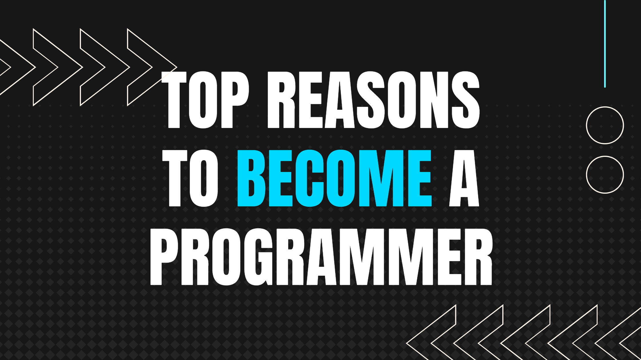Top reasons to become a software developer